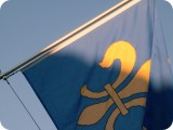 fleur-de-lys
